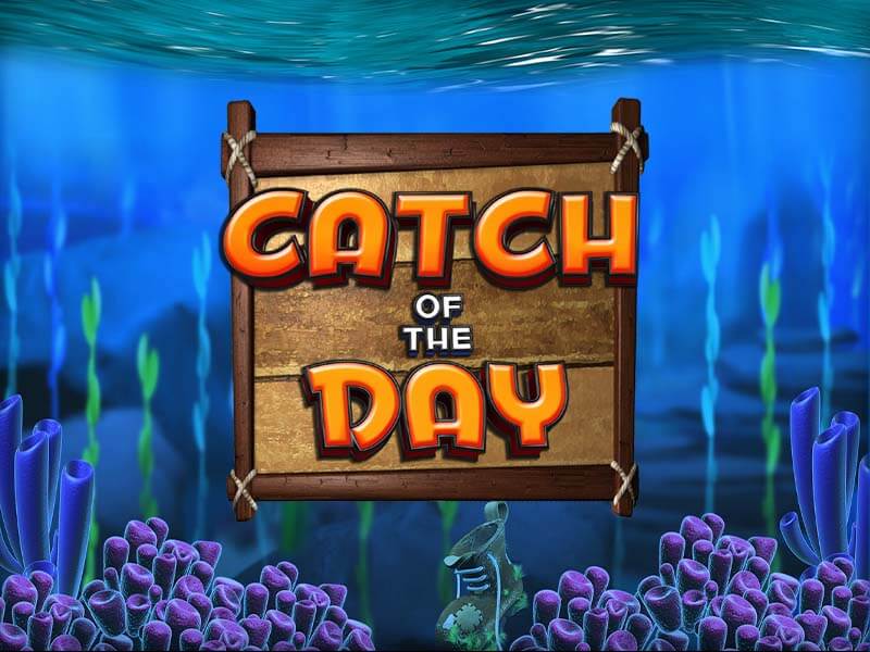 Capa do jogo Catch of the Day